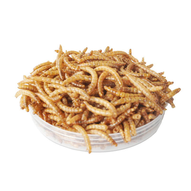 Friandises Riches en Protéines - Food Snacks With High Protein avis et prix